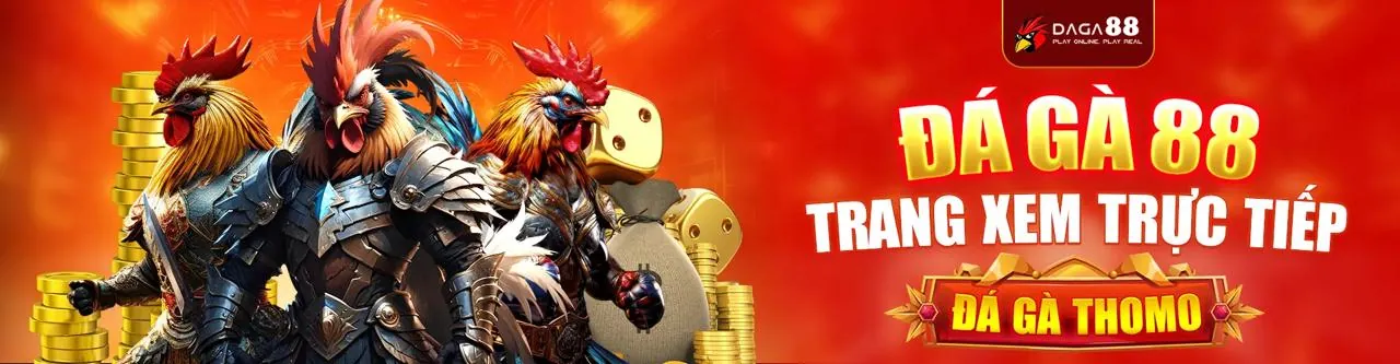 Đá Gà Trực Tuyến Hấp Dẫn tại vn888 game